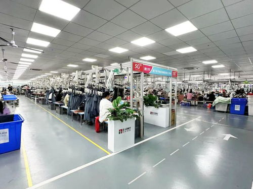 以品牌引領變革 最富創新活力的省份如何鍛造服務新型工業化第一品牌